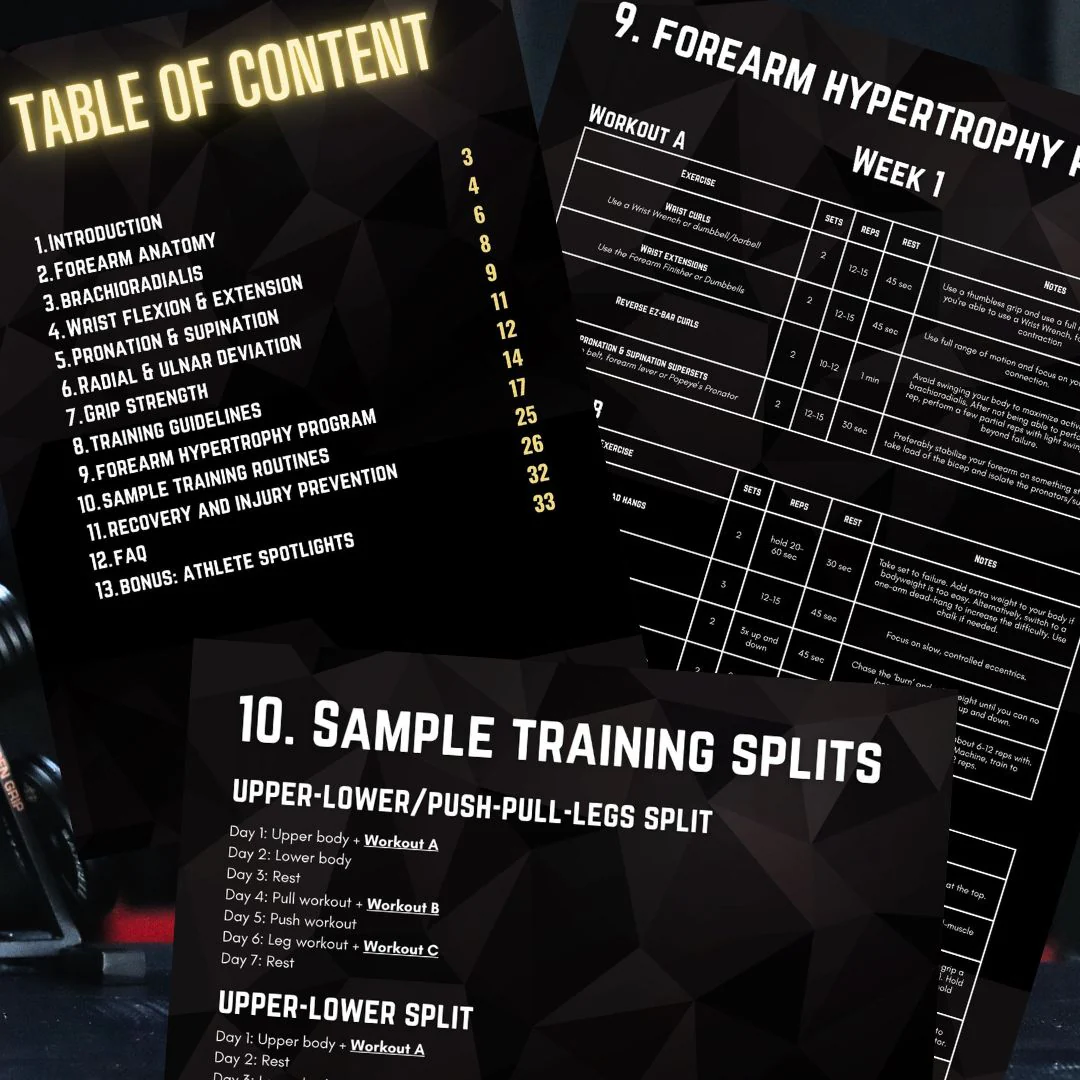 Forearm Growth Guide - Image 3